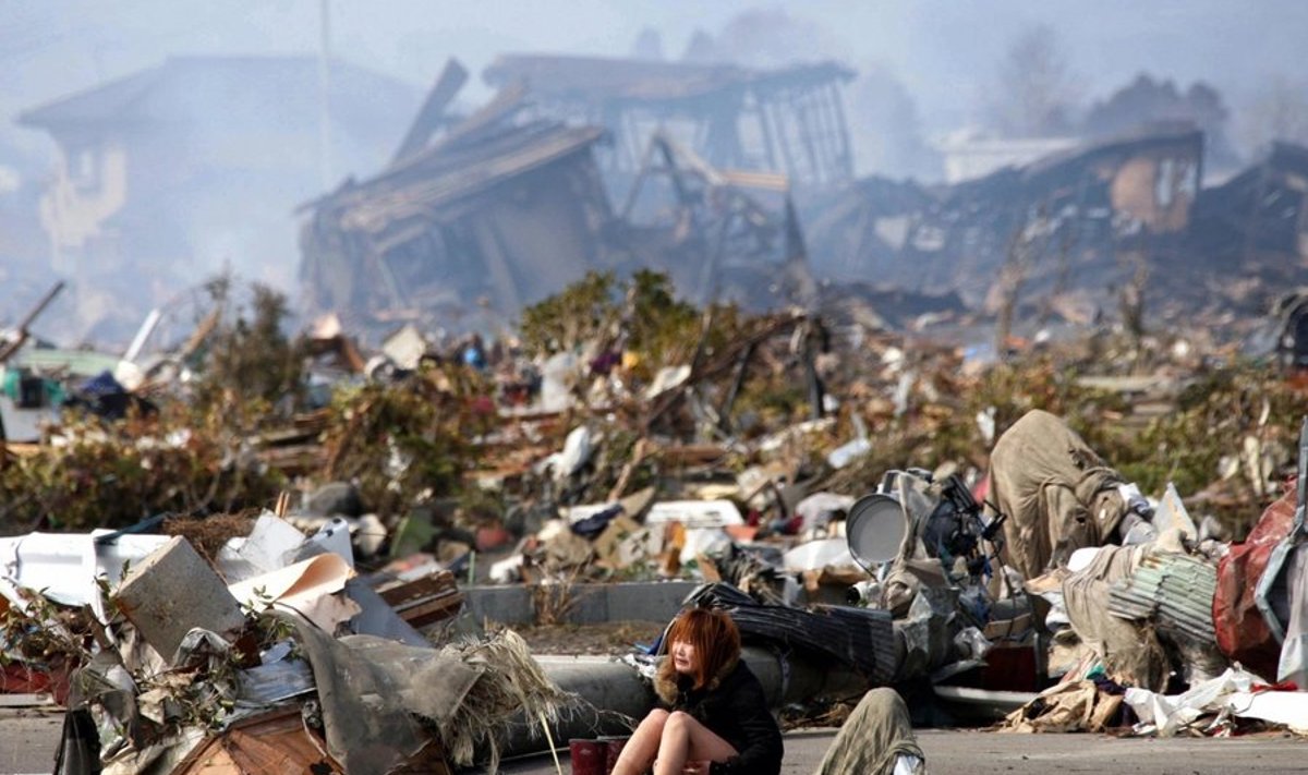 Jaapanlanna nutmas Natori linna varemetel pärast tsunamit mullu märtsis.