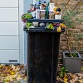 МНЕНИЕ | Растущий поток упаковочных отходов — наша общая забота. Поможет ли налог на пластик?