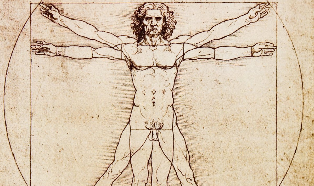 Leonardo da Vinci "Vitruviuse mees".