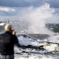 ФОТО | Первый осенний шторм в этом году — уже здесь. Море разбушевалось не на шутку