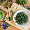 5 väekat ja vitamiinirikast kevadist "supertoitu", mis võiks olla igaühe söögilaual