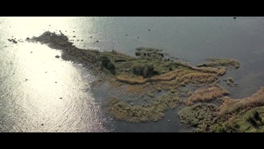 VIDEO | Kivid, vesi ja heinamaa: vaata, milline nublu privaatne saar välja näeb!