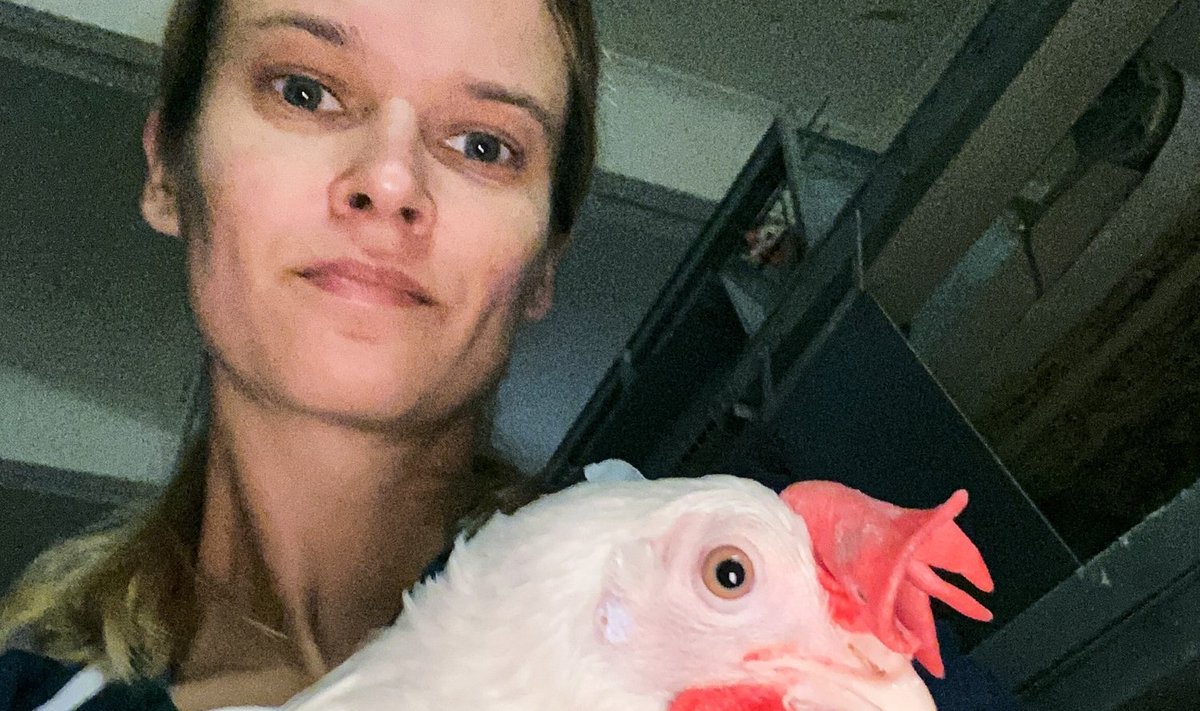 Mirjam Näkk kehastus kolmes suurfarmis kanatalitajaks ja paljastas sealsed õudused