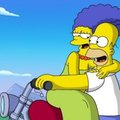 FOTO: Homer Simpson rebis riided seljast