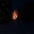 ВИДЕО И ФОТО | Обрыв линии электропередач вызвал пожар. В воздух взметнулся 10-метровый столб огня и дыма