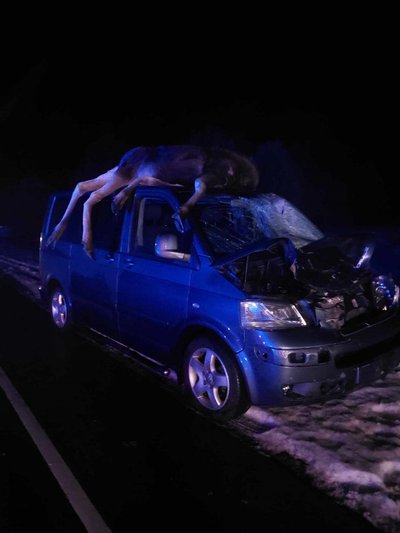 Õnnetuse tulemusel põder hukkus, autos olnud inimesed viga ei saanud. 