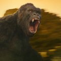 NÄDALA TREILER: Filmiajaloo suurim King Kong seiklusfilmis "Kong: Pealuu saar"