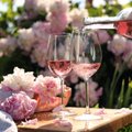 Sommeljee annab nõu | Maailmakuulsad roosad veinid, mida igaüks võiks teada