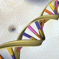Eluvormide piire nihutamas: esmakordselt õnnestus valmistada nelja täiendava “tähega” DNA-d