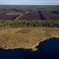 TURBA ALL | Lääne-Euroopa aiandustööstuse turbanõudlus koorib paljaks Eesti sood. Tohutud heitekahjud jäävad Eesti kanda