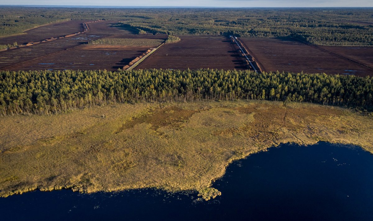 Viljandimaa Parika looduskaitsealal asub rabajärvest otse looduskaitsealast üle maantee turbamaardla.