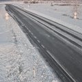 ФОТО | Первый снег выпал во многих уголках Эстонии, осадки продолжаются