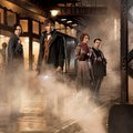 TREILER: Harry Potteri maagia on tagasi seiklusfilmis "Fantastilised elukad ja kust neid leida"