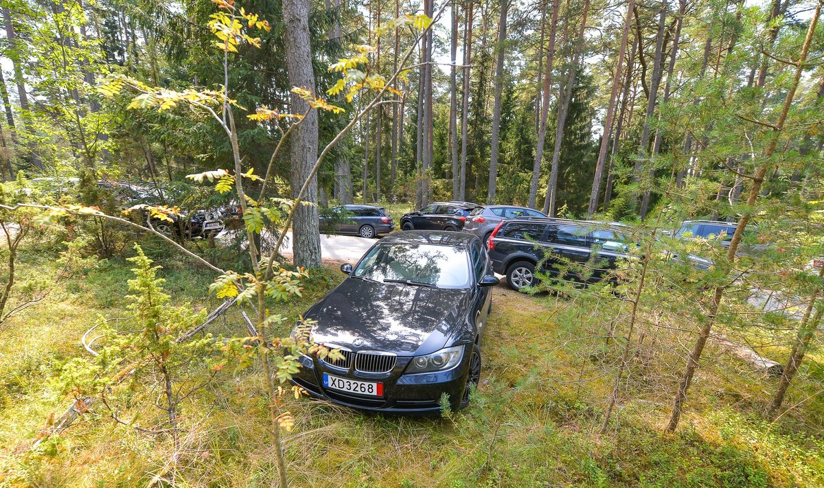 Parkimine Vääna-Jõesuu metsas