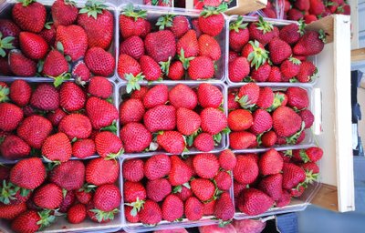 Kreeka maasikad