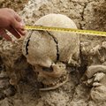 Rootsis leiti vaiade otsa torgatud kiviaegsed inimkolbad