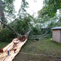 ФОТО | „Все случилось так быстро, что я даже не успел понять, что происходит!“ Ураган, пронесшийся над эстонской деревней, валил деревья и срывал крыши