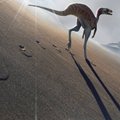 Brasiiliast leitud jalajälgede järgi avastati uus dinosauruseliik