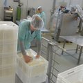 Balti riikide piimatootjad päästaks ühine ühistu