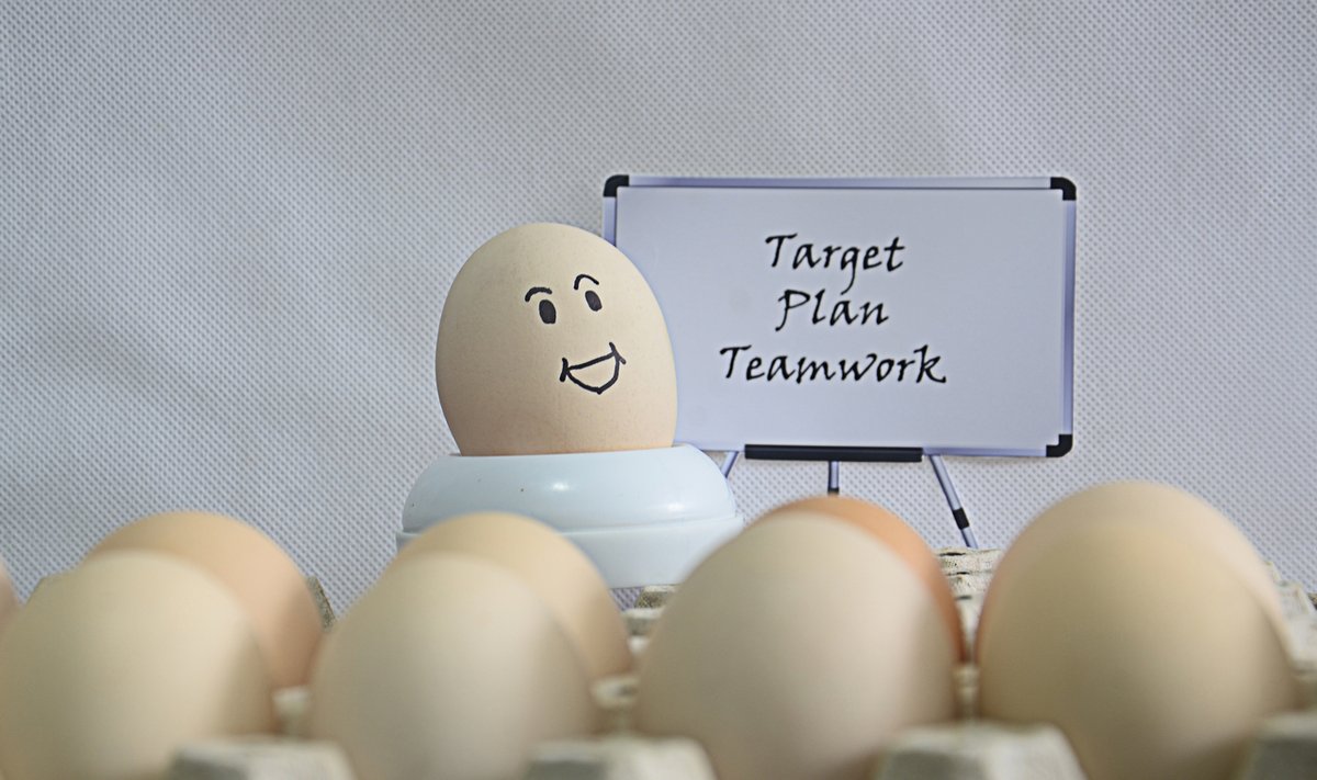 eggs