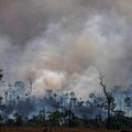 Brasiilia keelas 60 päevaks tule tegemise maa metsast puhastamiseks