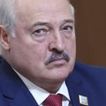 Лукашенко заявил, что ПВО Беларуси сбили ударные беспилотники из Украины