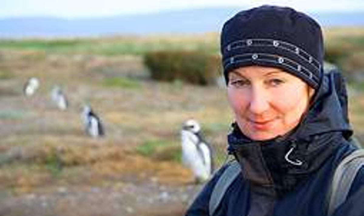 ARMASTAB METSIKUT LOODUST: Vandeadvokaat Maria Mägi Patagoonias pingviine vaatlemas. erakogu