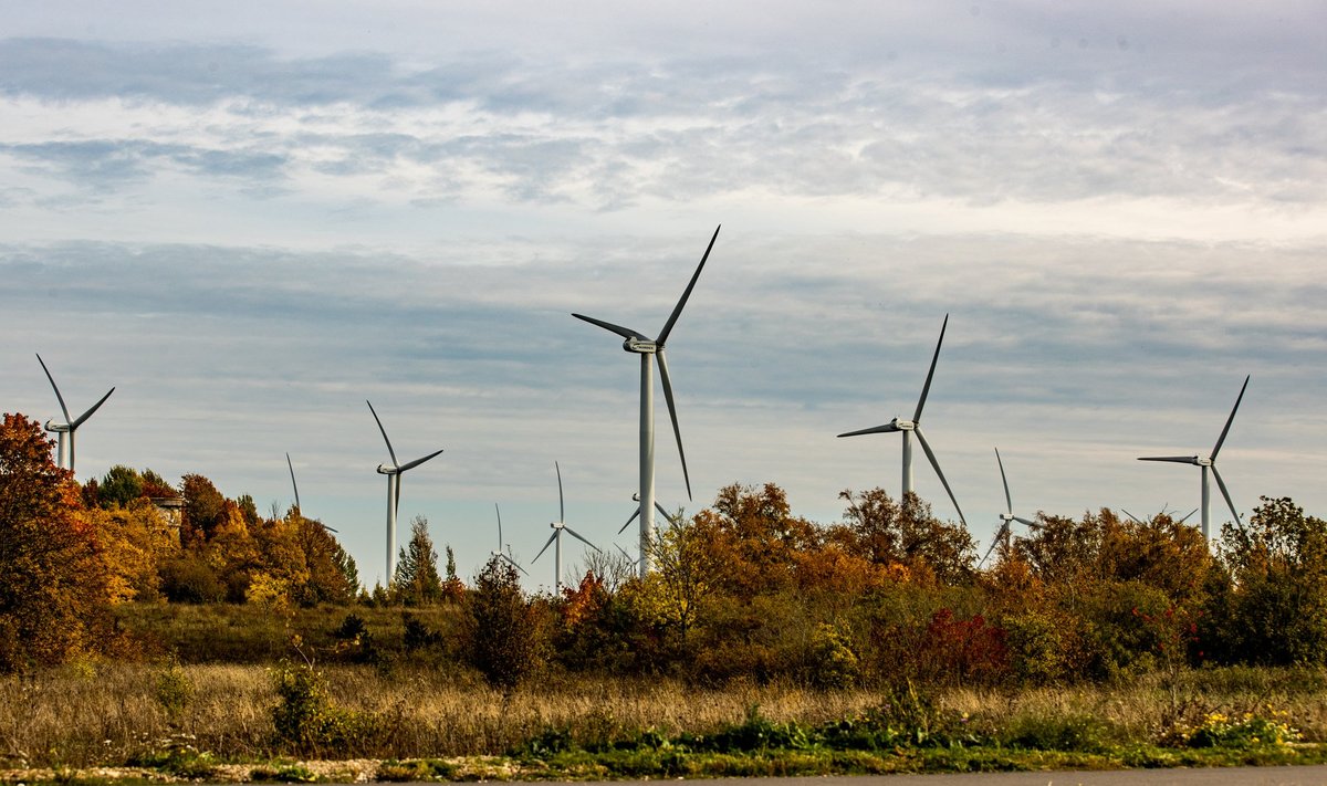 Energiapoliitika ekspert kirjutab, et taastuvenergia on kõige kulutõhusam viis, kuidas tulevikus Eestile energiat toota.