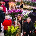Буйство красок! Таллиннский ботанический сад заполнится удивительными орхидеями