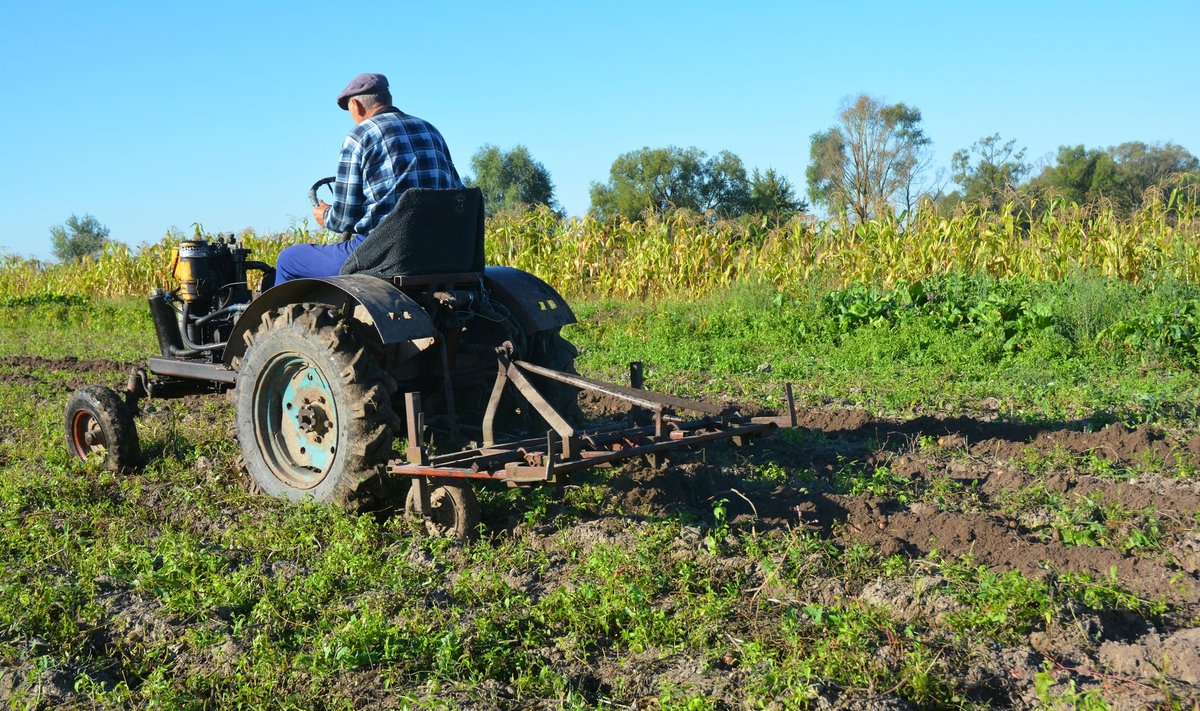 Talunik põllutöödel.