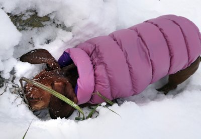 Natuke kaevata ikkagi võib!