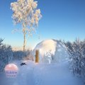 Пожить как эскимос, но в тепле: недалеко от Таллинна можно заночевать в купольной палатке