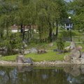 Kadrioru pargi Jaapani aia jugapuuhekk nüsiti matusepärgadeks