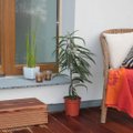 Создайте уютный уголок на террасе или на балконе: самые важные элементы интерьера