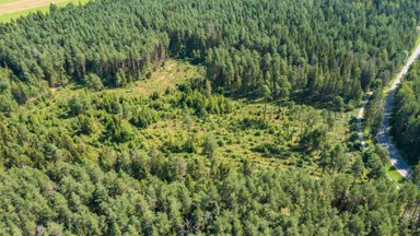 LUGEJA KÜSIB | Kuidas vormistada metsa raieõiguse müügi lepingut?