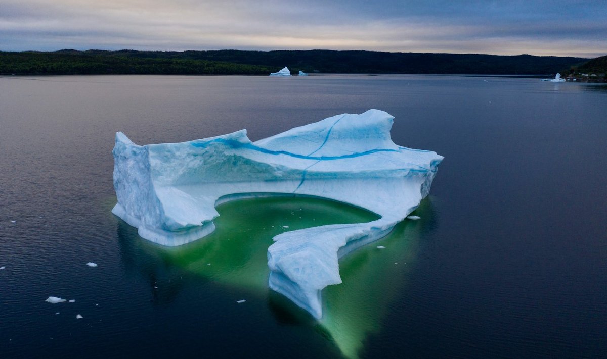 Gröönimaalt eraldunud jääpank on triivinud Kanada ranniku lähedale