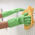 Женщина случайно создала опасный газ при уборке квартиры