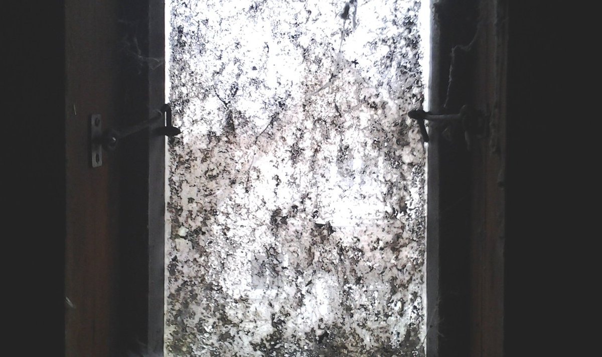 Kaidi aknast pole välja vaadatud aastakümneid