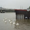 Eestlane Prahas: Praha peab üleujutustele vapralt vastu