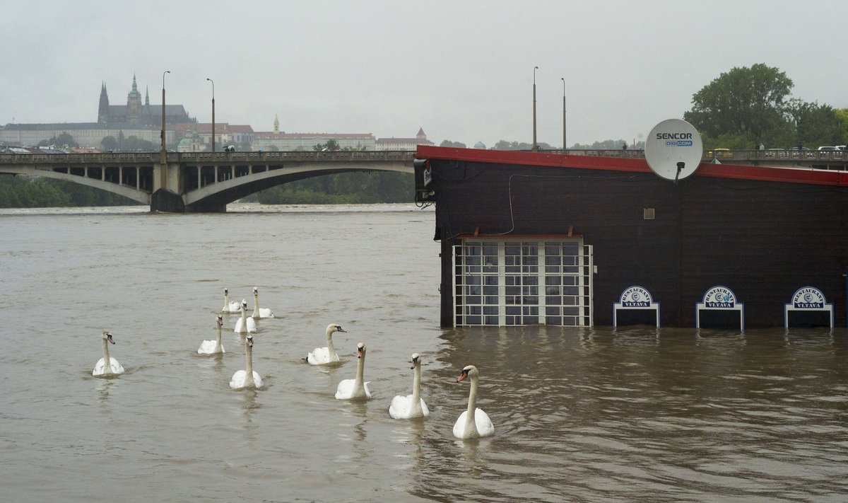 Jõe ääres olevad restoranid ja baarid on vee all