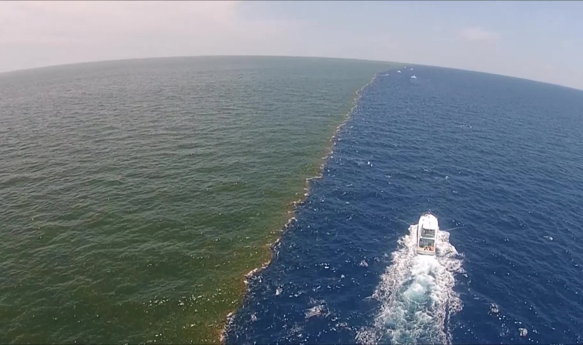 Koht, kus Mississippi vesi kohtub Mehhiko lahega. https://captaingino.com