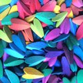 Tanel Veenre uus ehteseeria “Pantone Putukad” võlub energilise värvikasutusega