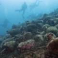 ВИДЕО | В Греции из древнего корабля сделали подводный музей