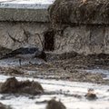 DELFI FOTOD: Tormine ilm tekitas Piritale mereprahi kuhjad