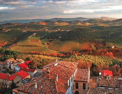 Viinamarjaistandused Abruzzo maakonnas.