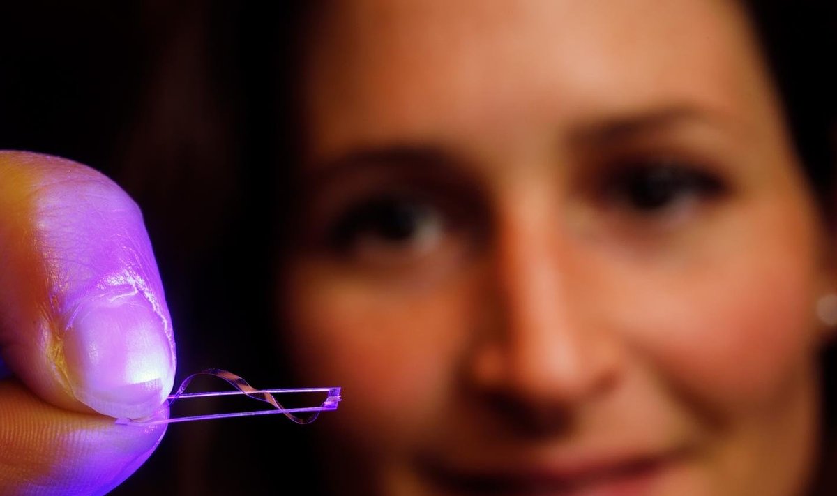 Eindhoveni teadlane Anne Hélène Gélébart ja üks imeplasti näidis, mis suudab valguse käes ise liikuda. (Foto: Bart van Overbeeke)