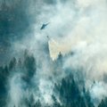 Rootsi valitsus kutsus metsapõlengute tõttu kokku kriisinõukogu