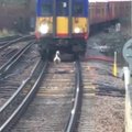 VIDEO: Rong jäi peatusesse hiljaks, sest vastsündinud luigepoeg jalutas enesekindlalt raudteerööbastel