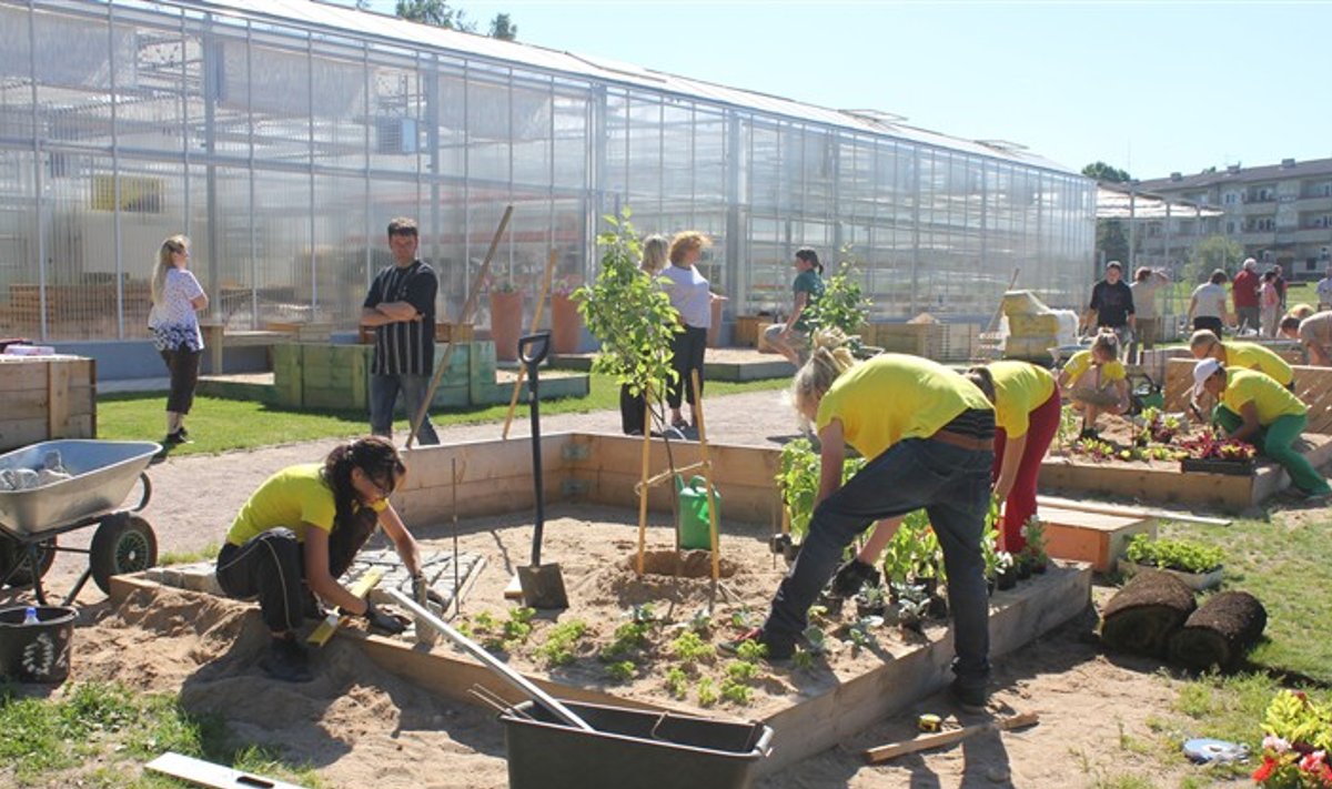 Räpina Aianduskoolis on töö ja õppimine alati käsikäes käinud. Pildil toimub spetsialistide juhendamisel näidis aia rajamine.
