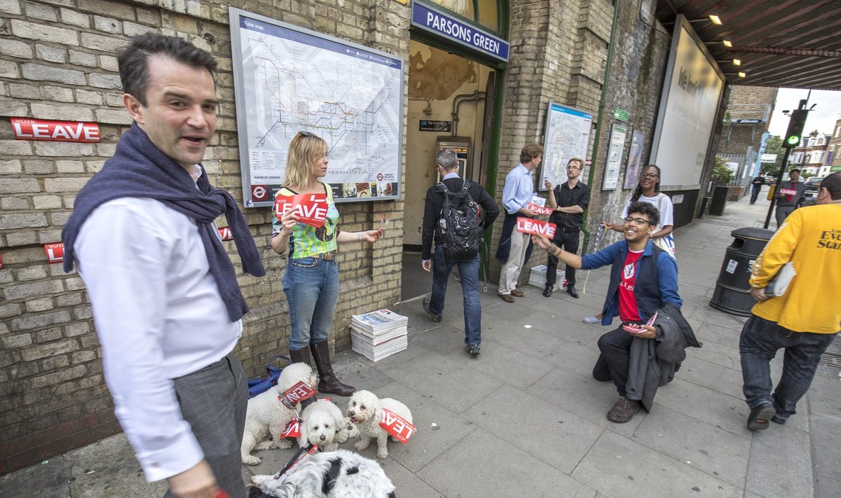 Seltskond euroskeptikuid Parsons Greeni metroojaama sissepääsu juures. Üks naine on kaasa võtnud neli imearmast koera, kes kannavad euroskeptikute plagusid.